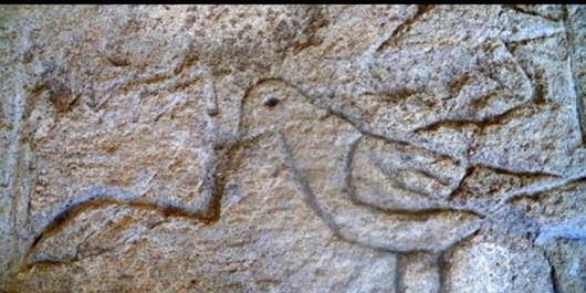 علامت و نشانه کبوتر در دفینه – رمزگشایی علائم کبوتر در گنج یابی