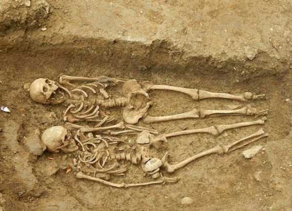 رمزگشایی استخوان های عجیب حین حفاری در دفینه یابی